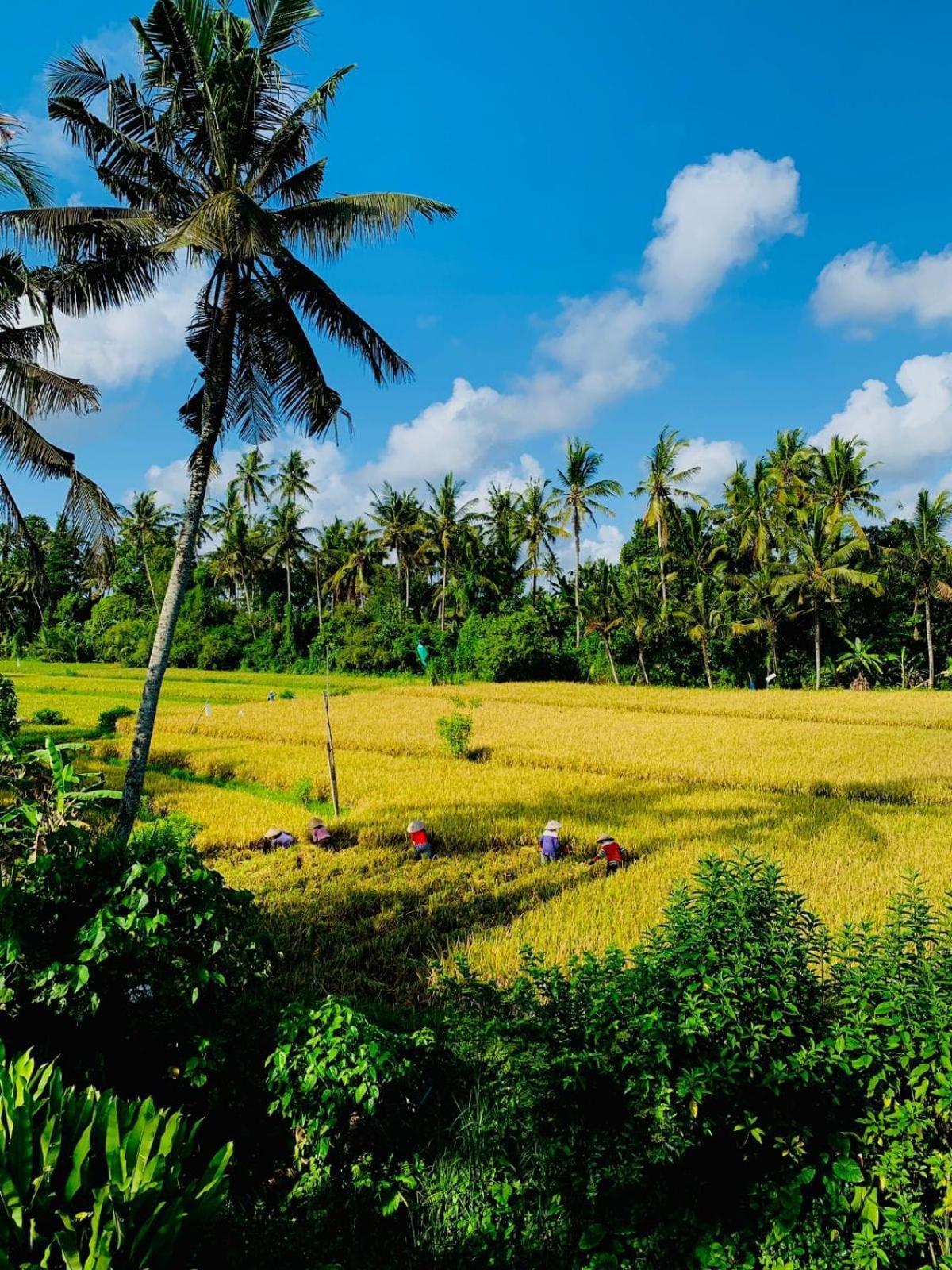 Sunset Pandawa Villa Ubud Exterior foto