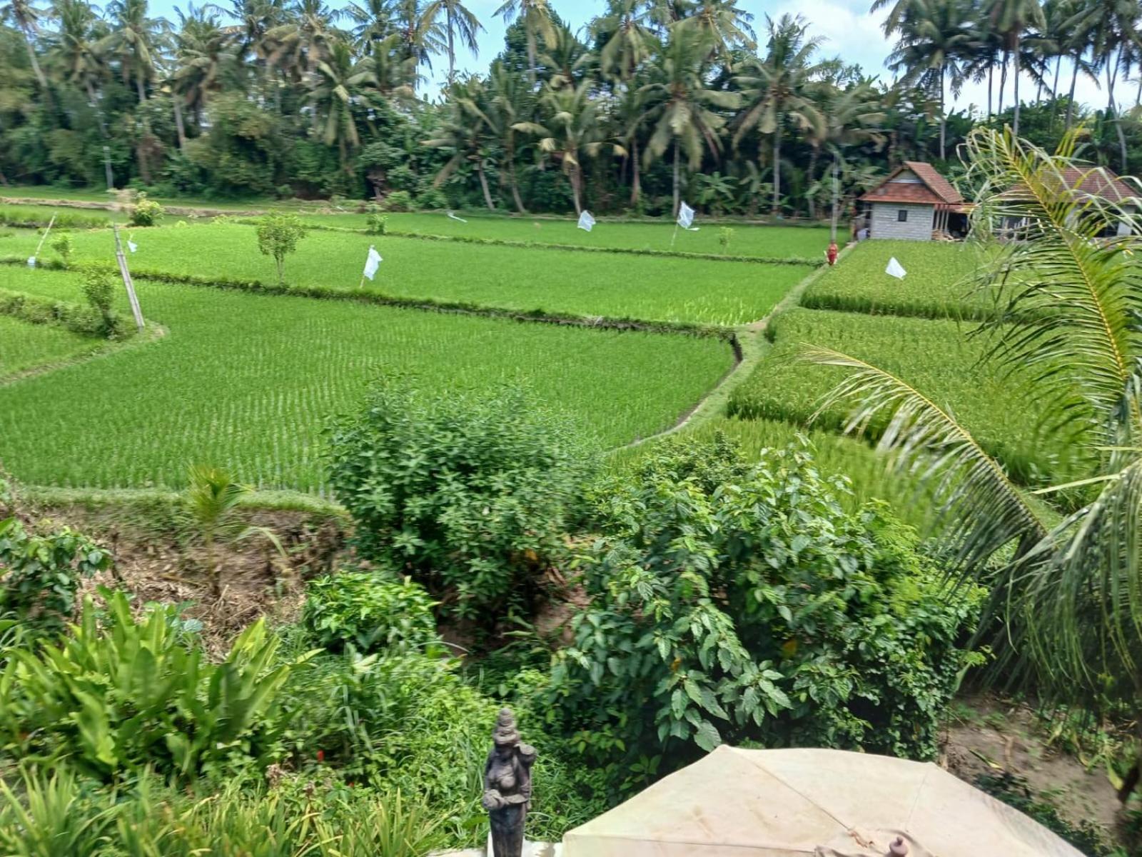 Sunset Pandawa Villa Ubud Exterior foto